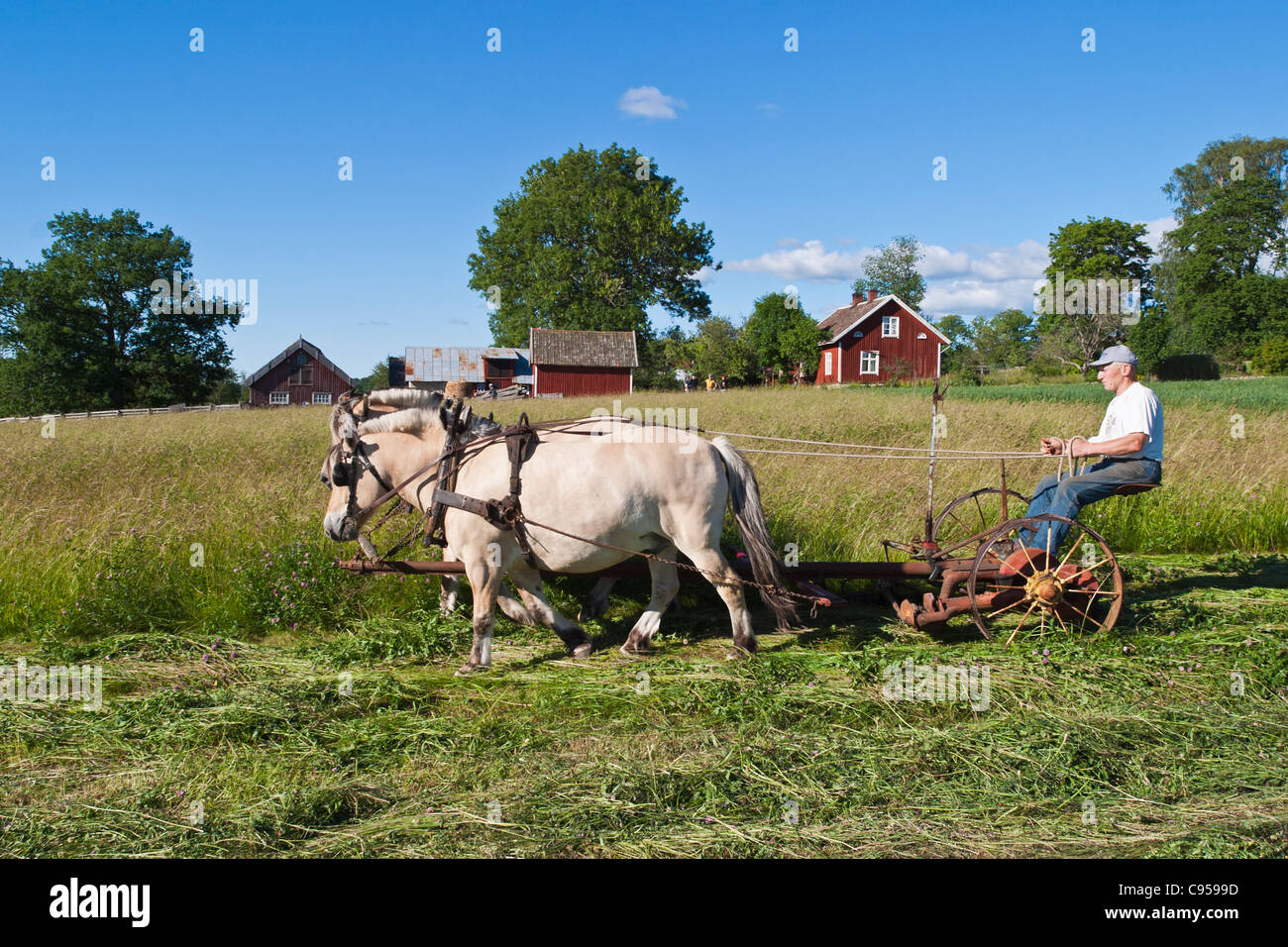 MOWING THE GRASS AND COMPLETING THE HORSE STABLE