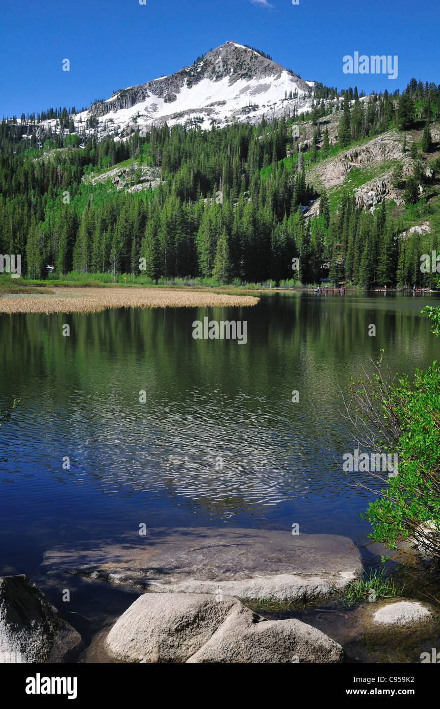 Silver lake hires stock photography and images Alamy
