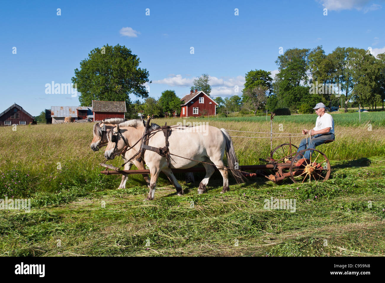 Horse drawn hay mower hires stock photography and images Alamy