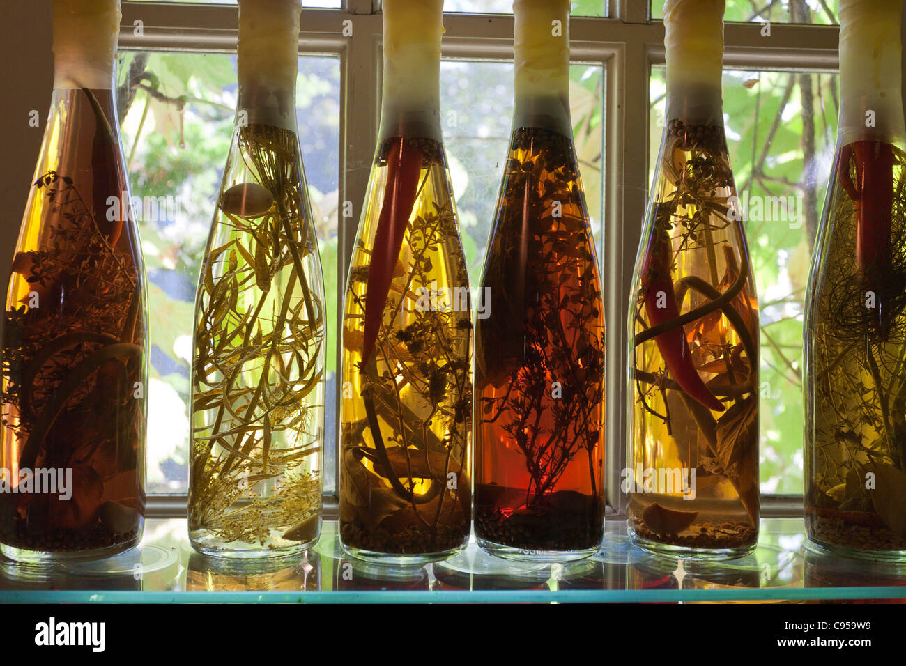 Preserved Herbs in colourful bottles. A display of preserved savory