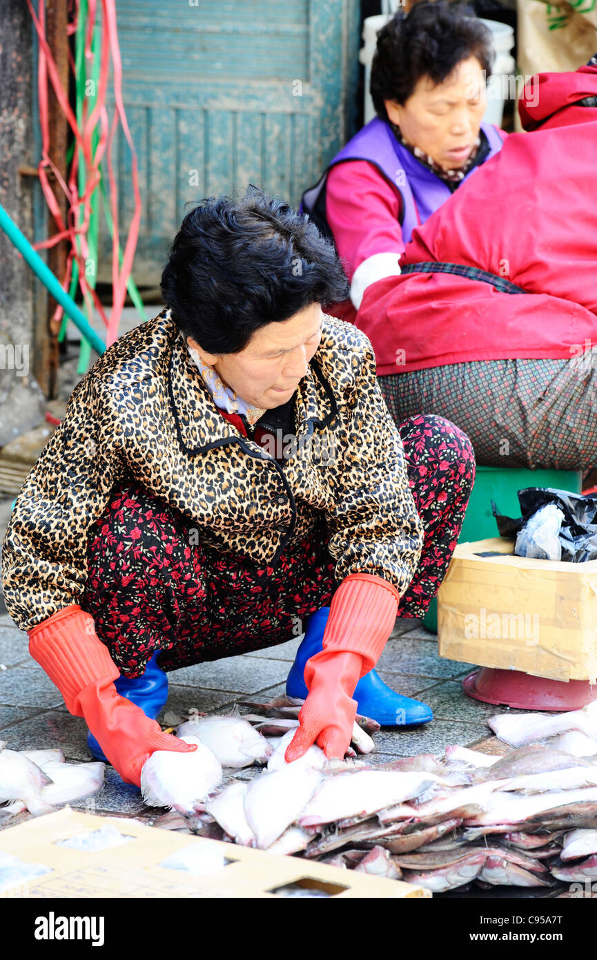Jagalchi fishmarket in Busan, South Korea. Stock Photo