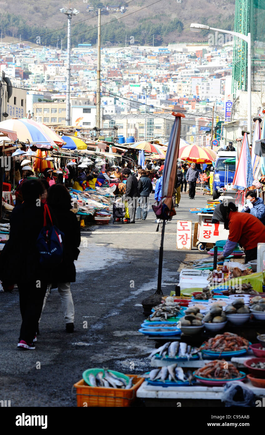 Jagalchi fishmarket, Busan, South Korea. Stock Photo