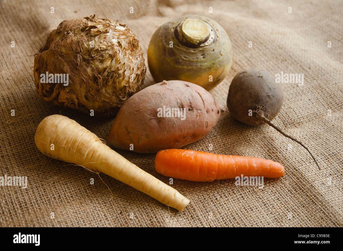Winter root vegetables - celeriac, swede, beetroot, sweet potato, parsnip and carrot. UK Stock Photo