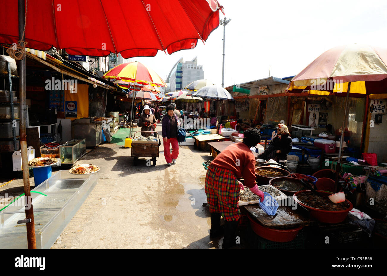 Jagalchi Fishmarket in Busan, South Korea Stock Photo