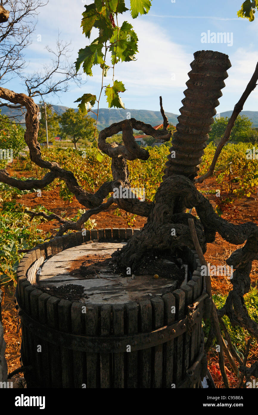 Old wine barrel Stock Photo Alamy