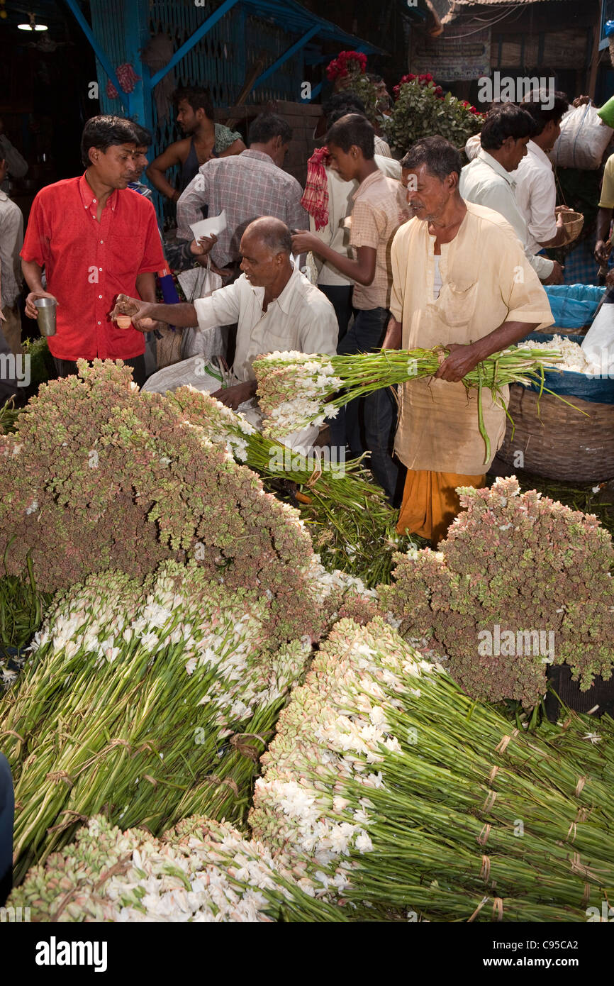 India, West Bengal, Kolkata, Mullik Ghat, flower market, man selling white Rajni gandha lily-like flowers in tight bud Stock Photo