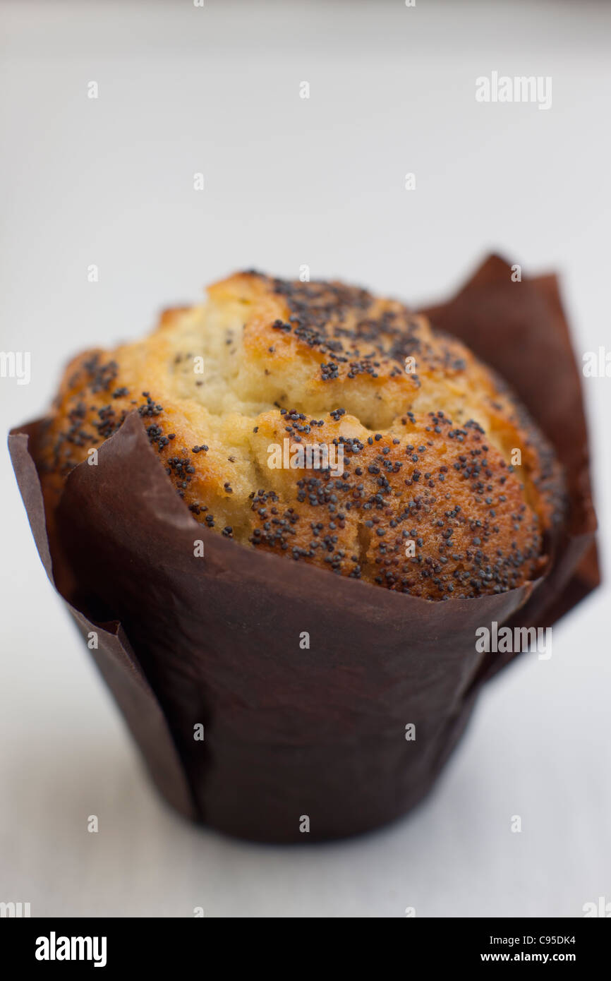 poppy seed muffin Stock Photo Alamy