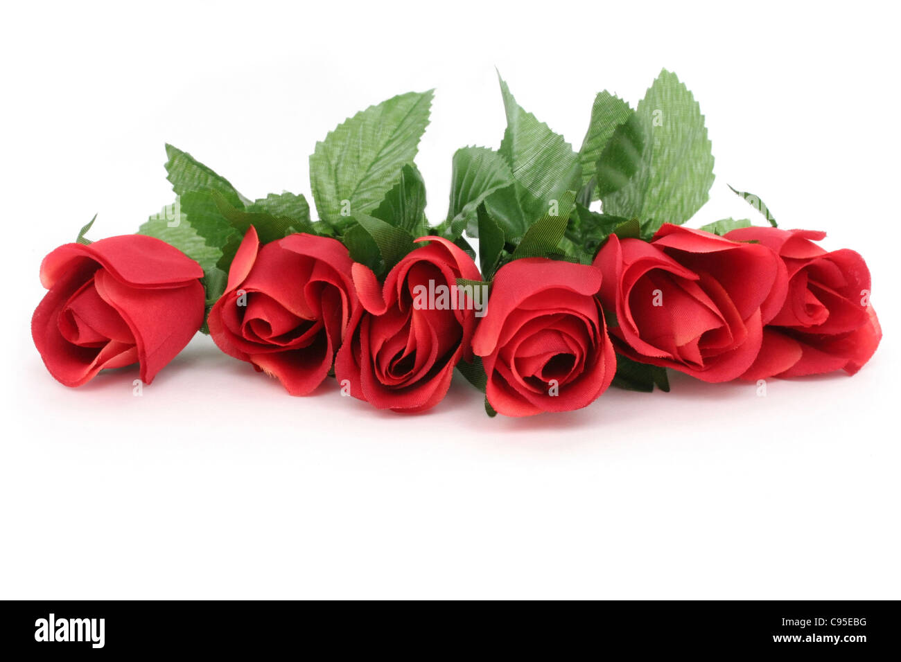 red rose with white background Stock Photo