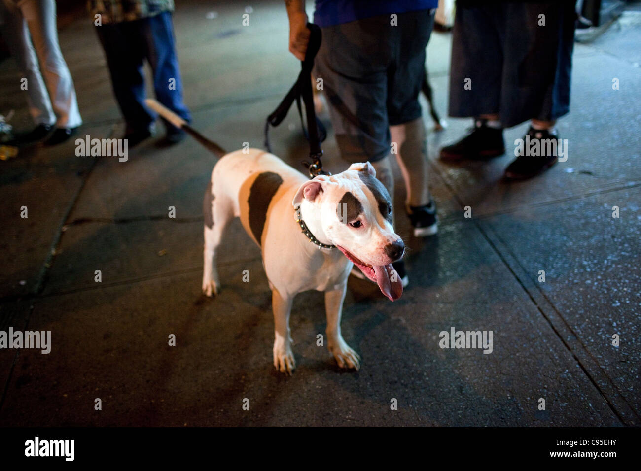 A man walking his dog stops to speak to friends outside a subway