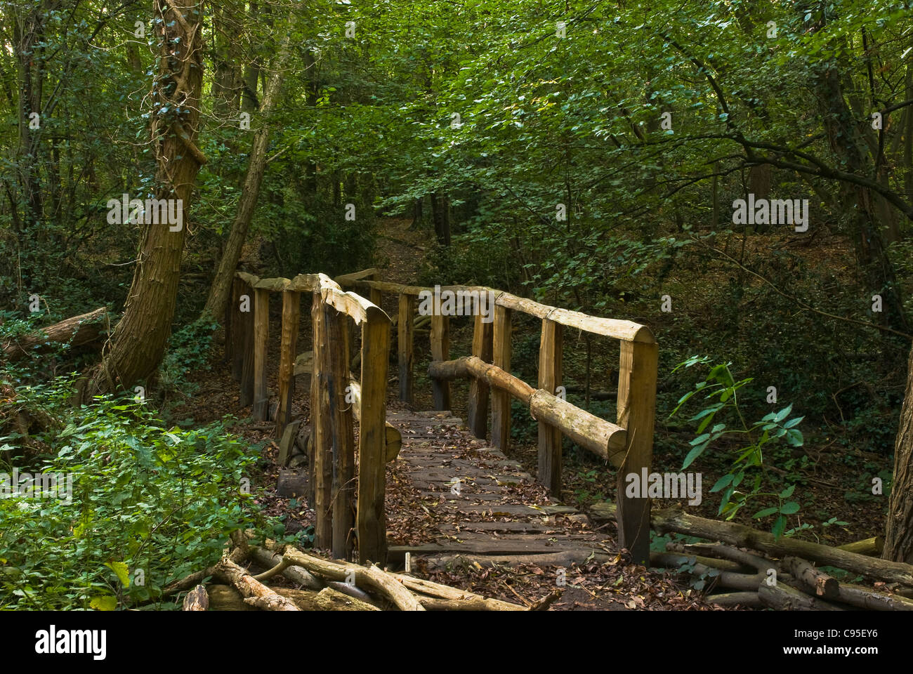 Wooden footbridge across a brook, in Pound Wood, Essex. Stock Photo