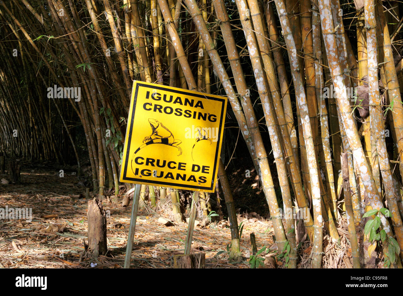Iguana Crossing road sign at entrance to Gamboa Rainforest Resort , Soberania National Park , Panama Stock Photo