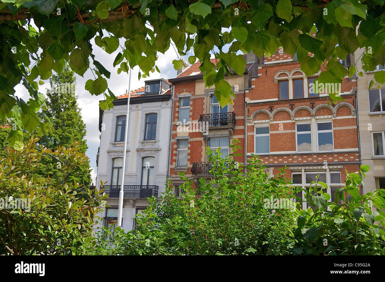 Buildings framed by vines and leaves, in the EU Area, Brussels, Belgium Stock Photo