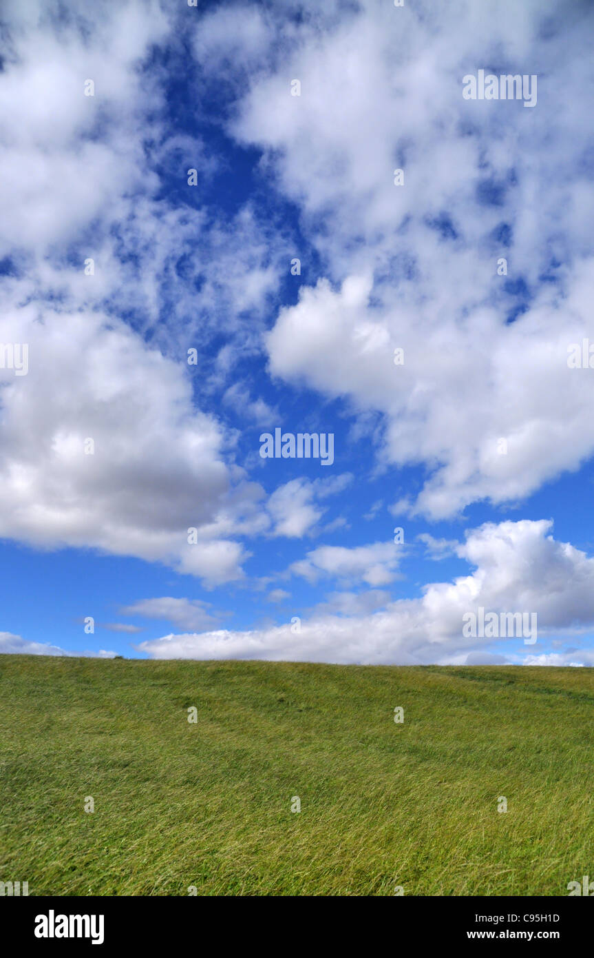 Green grass against a cloudy dramatic blue sky. Stock Photo