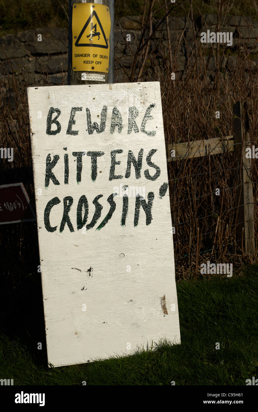 Funny Kitten crossing sign Stock Photo - Alamy