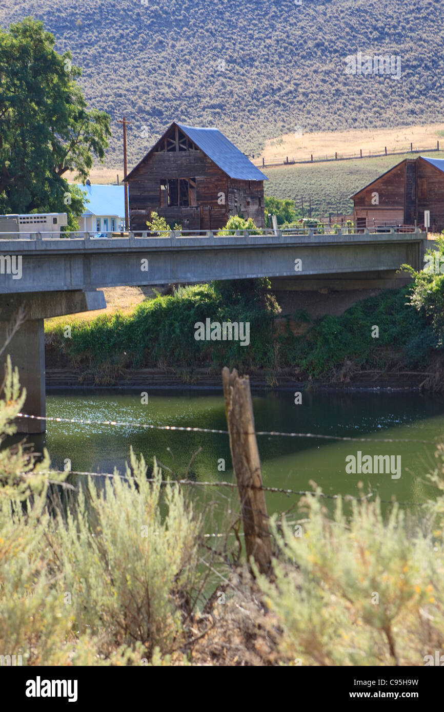 Image of Nighthawk, Washington. Stock Photo