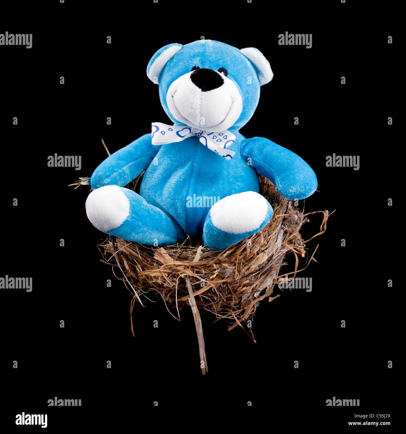 Bright blue stuffed toy bear sitting in a birds nest Stock Photo