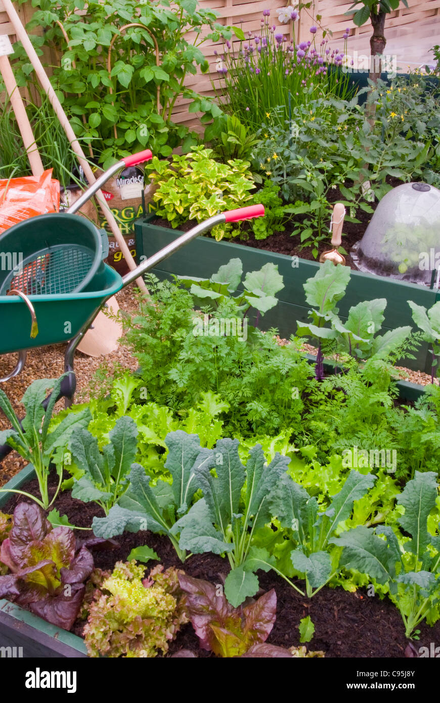 Vegetable Garden backyard home with wheelbarrow, cloche coldframe, raised beds, plants lettuce, kale, carrots, herbs living Stock Photo