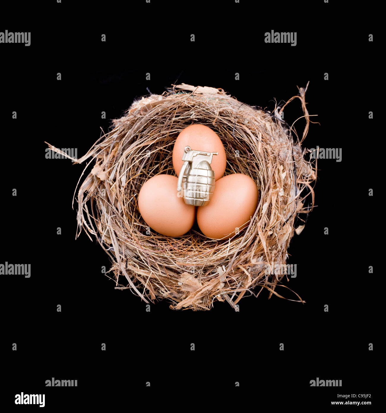 3 x eggs with 1 grenade sitting in a bird's nest Stock Photo