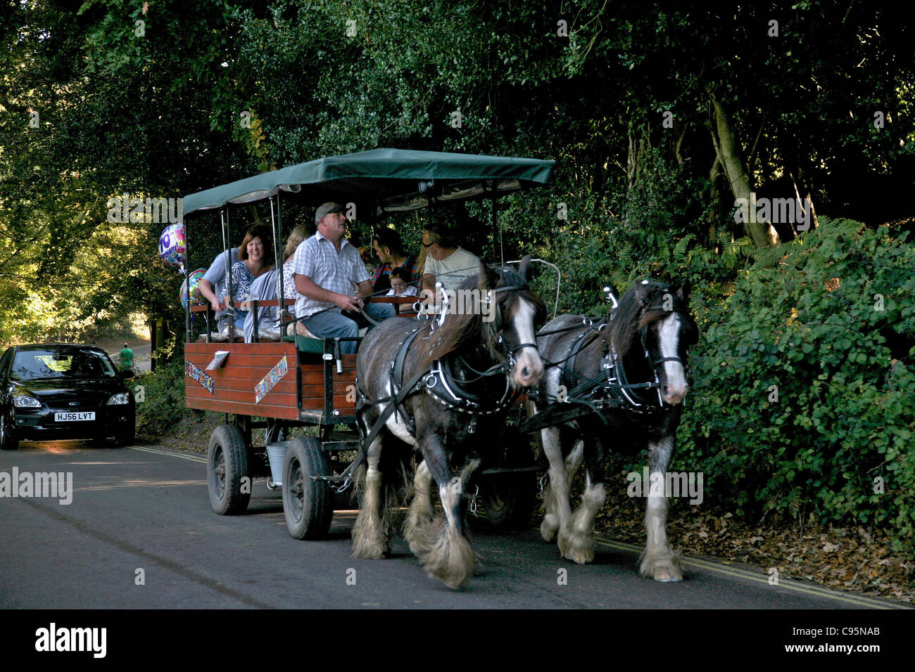 Horse and Carriage Rides around the New Forest village of Burley Stock