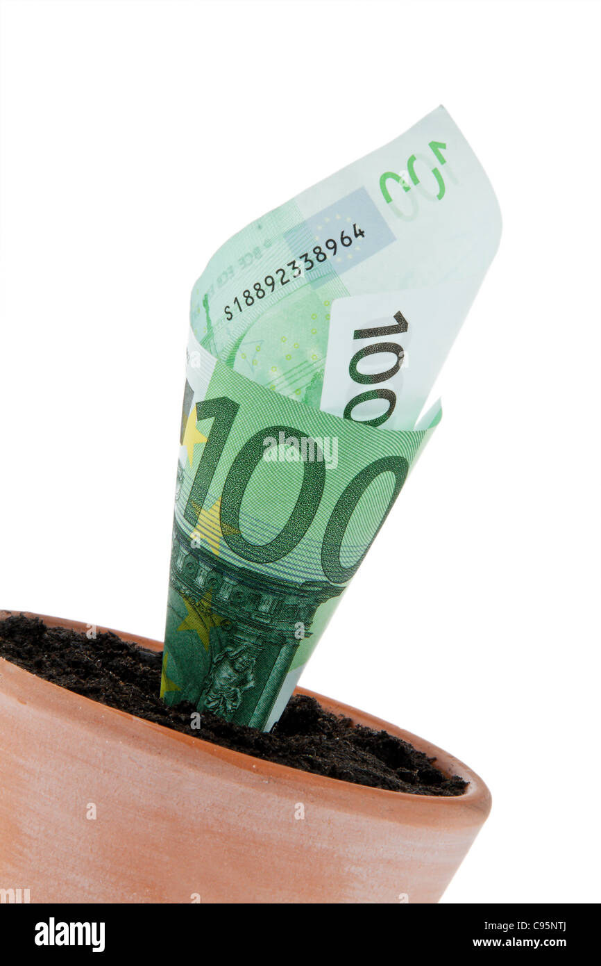 A Euro bank note in flower pot. Symbol rates, growth Stock Photo - Alamy