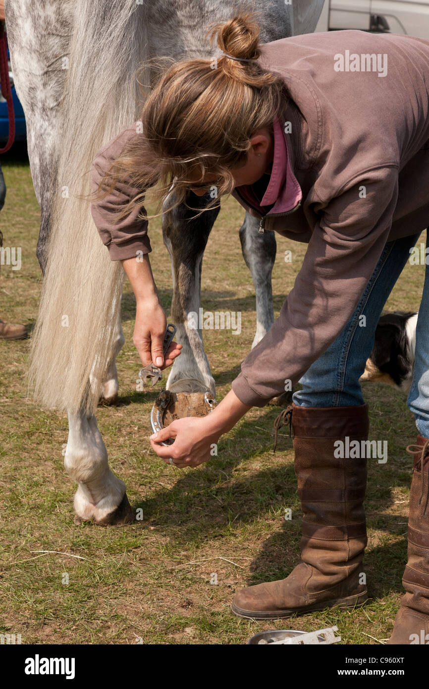A female horse owner/groom removing studs from her horse's shoes after