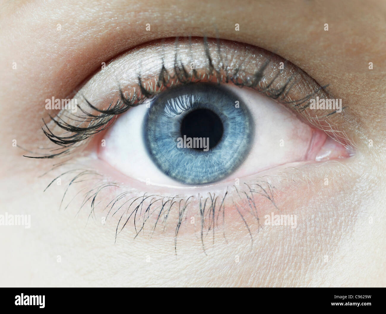 Eye iris hi-res stock photography and images - Alamy