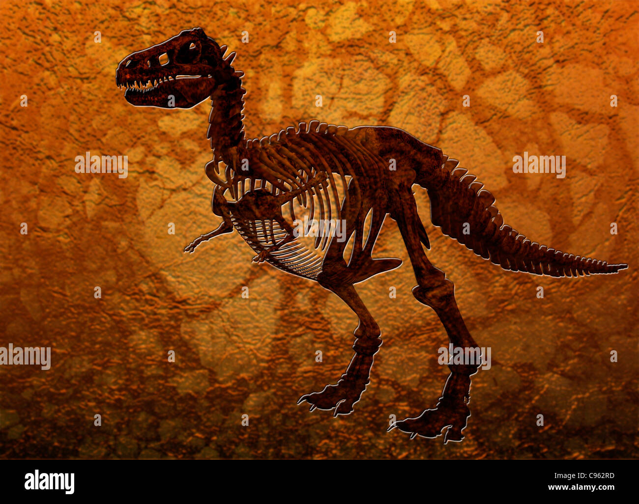 T rex fossil, computer artwork. Stock Photo