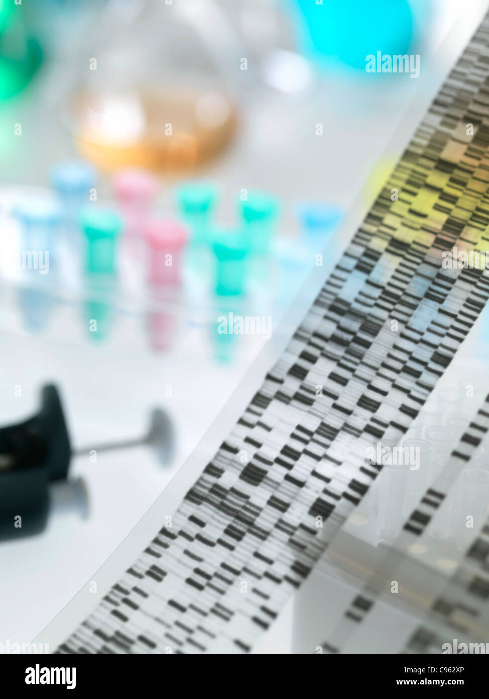 Human dna autoradiogram hires stock photography and images Alamy