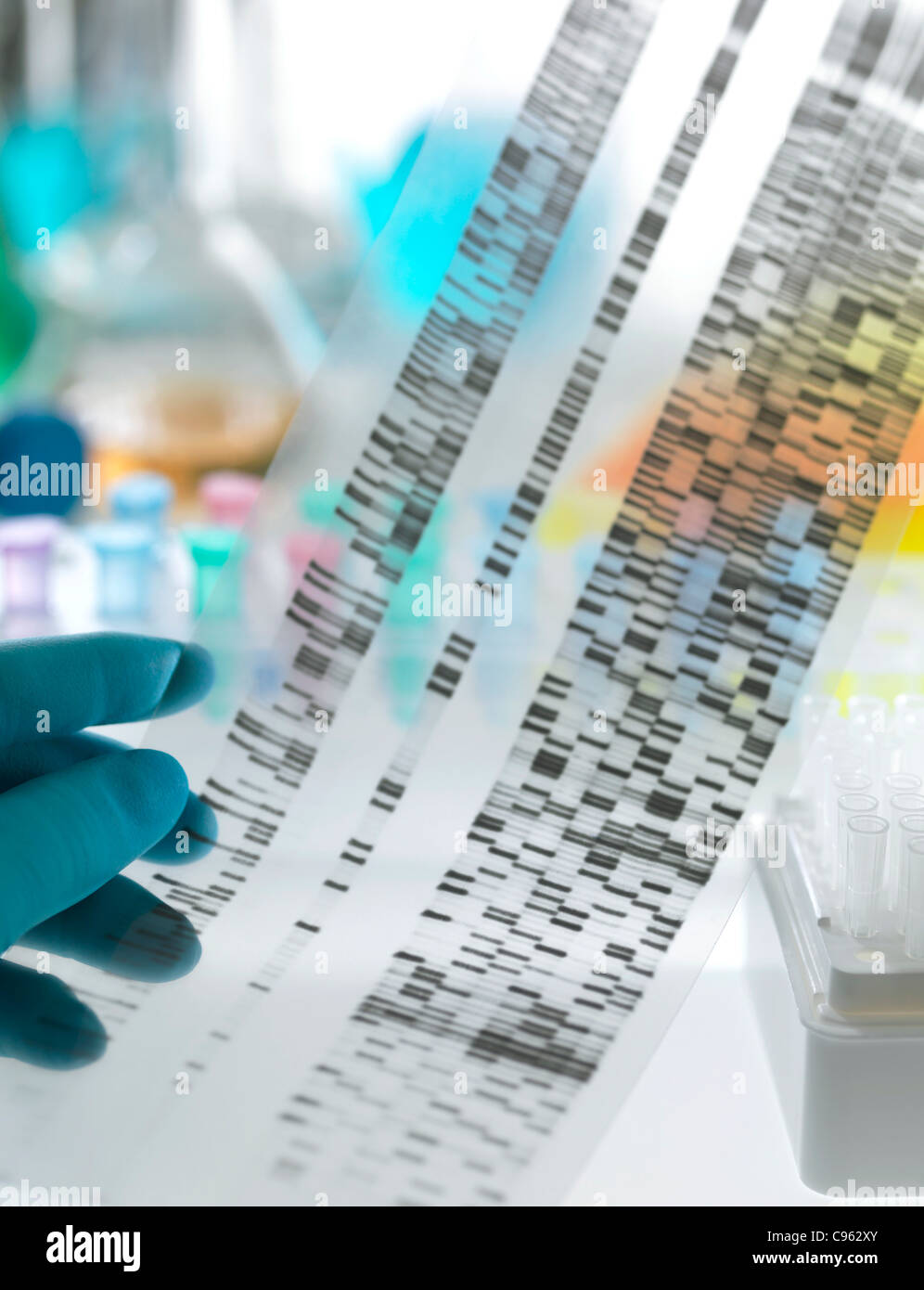research. DNA (deoxyribonucleic acid) autoradiogram Stock Photo