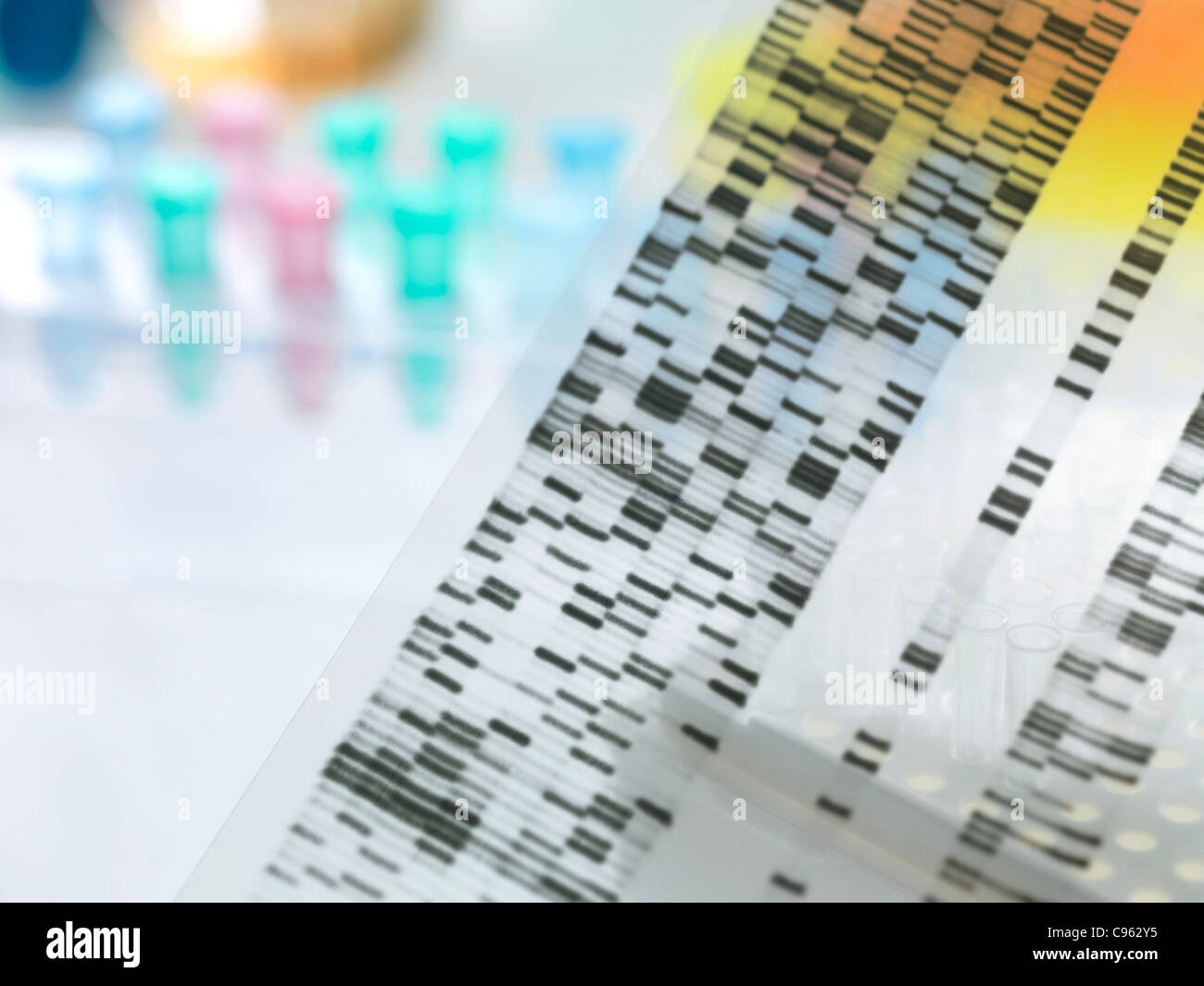 research. DNA (deoxyribonucleic acid) autoradiogram Stock Photo