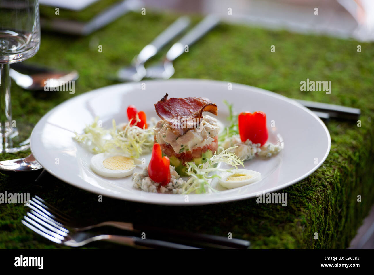 Gourmet dish  Stock Photo
