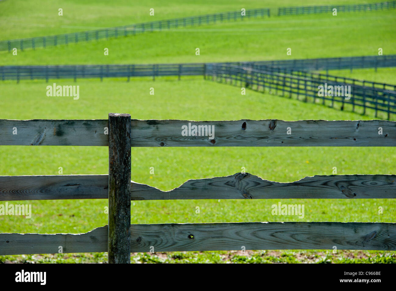 Fencing across green grass on a horse farm Stock Photo