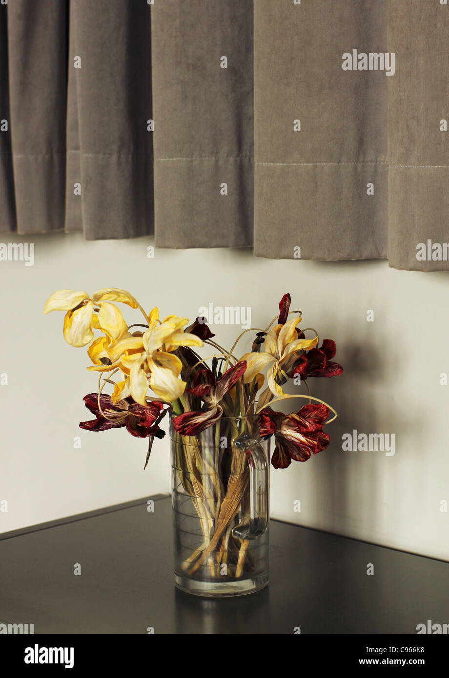 Faded Flowers In Vase Stock Photo 40089596 Alamy