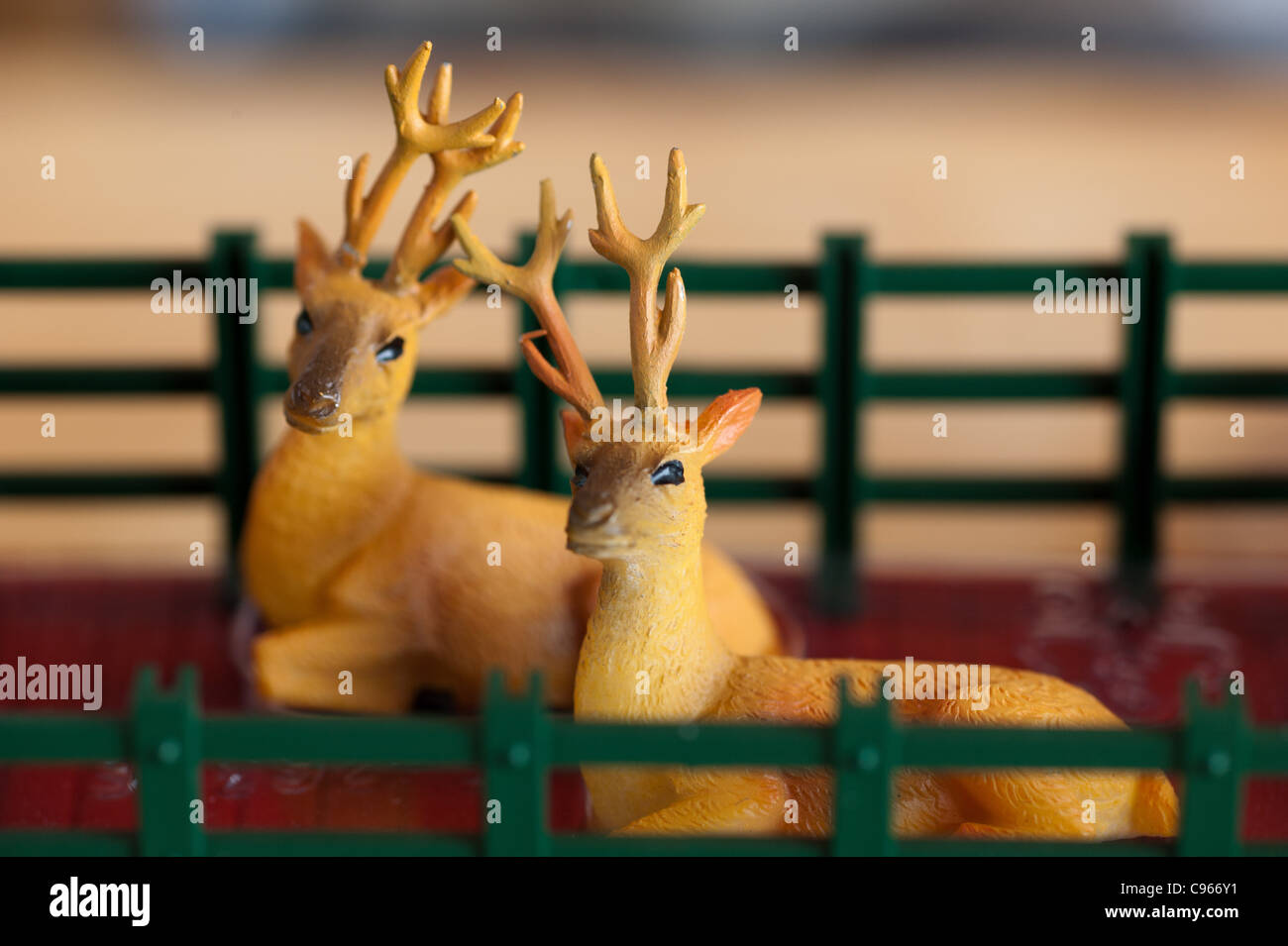Miniature reindeer in a train garden Stock Photo - Alamy