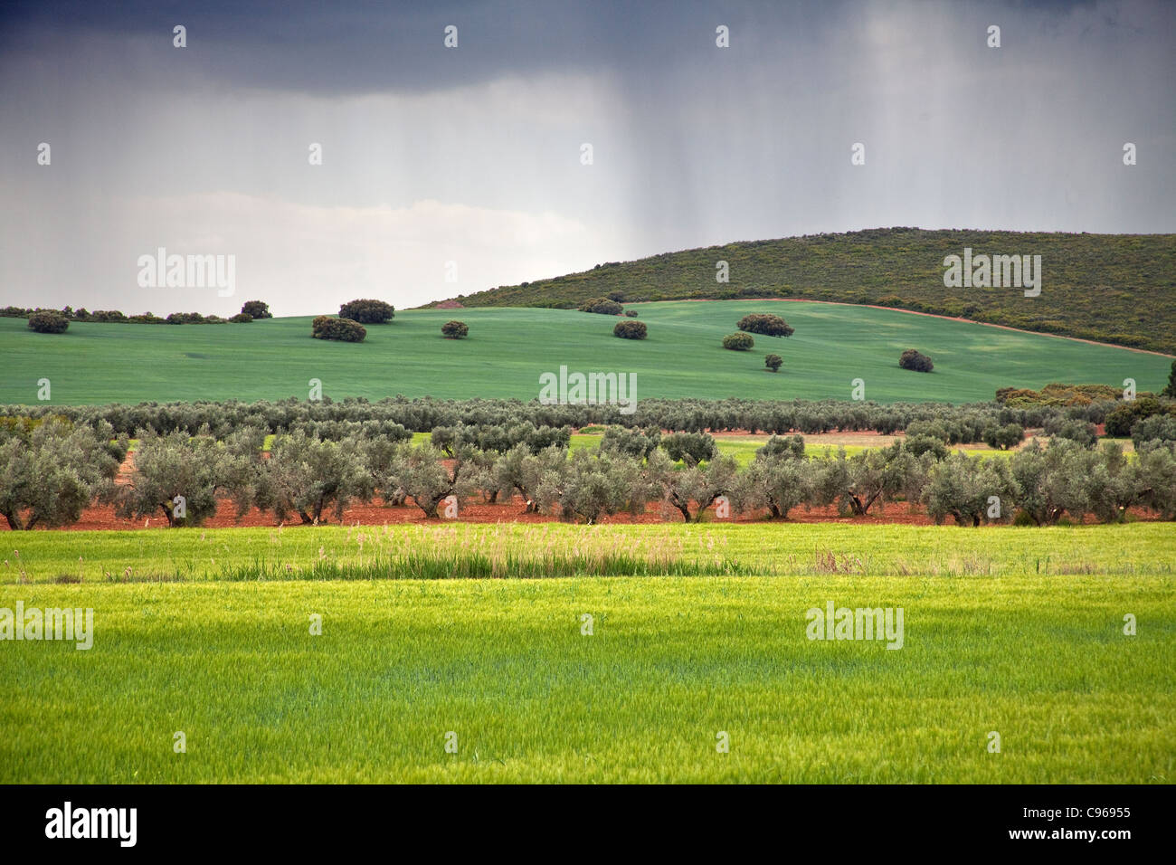 Different colors of a spanish landscape Stock Photo