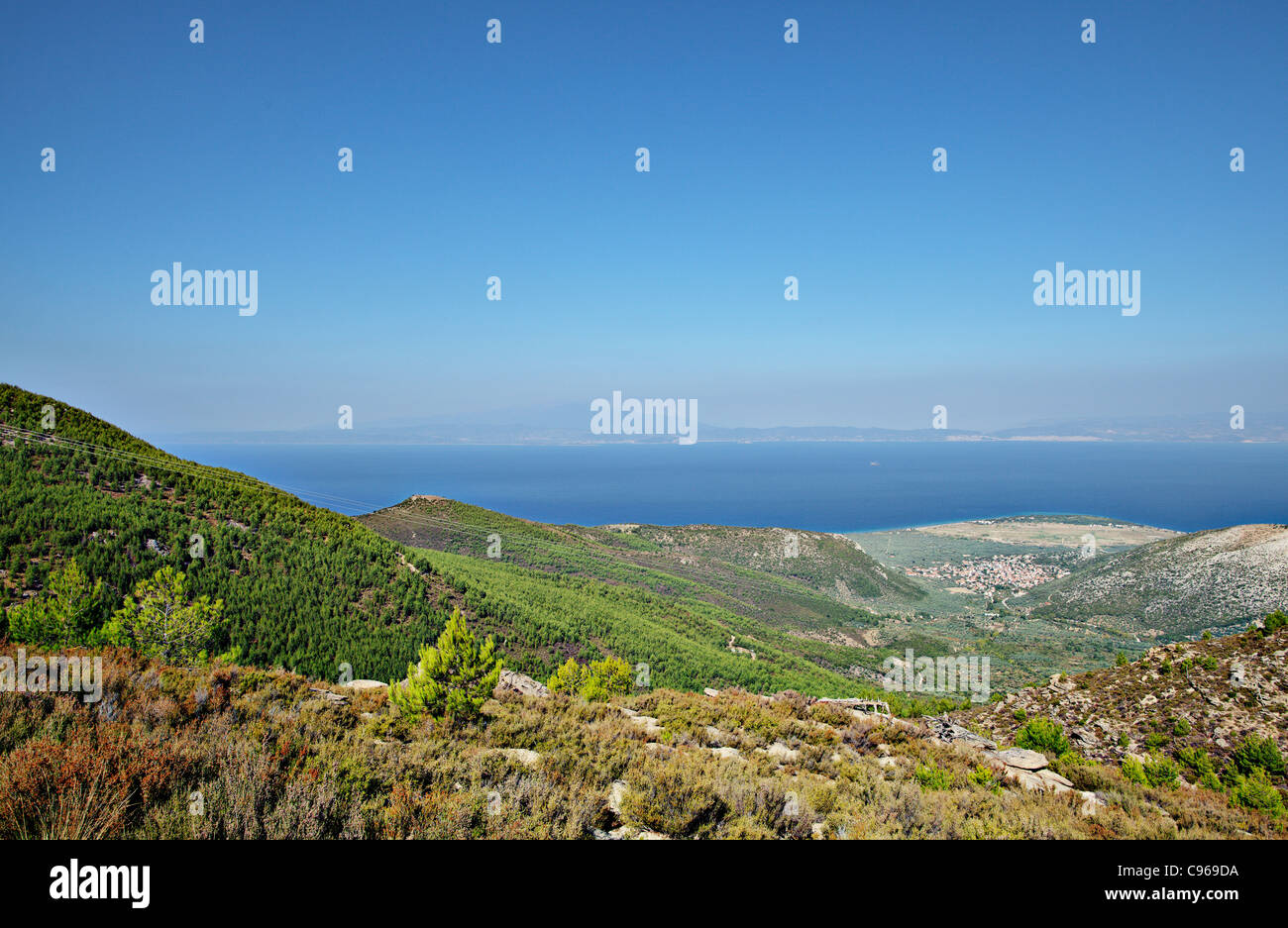 View over pine forest hills in Thassos island, Greece. Stock Photo