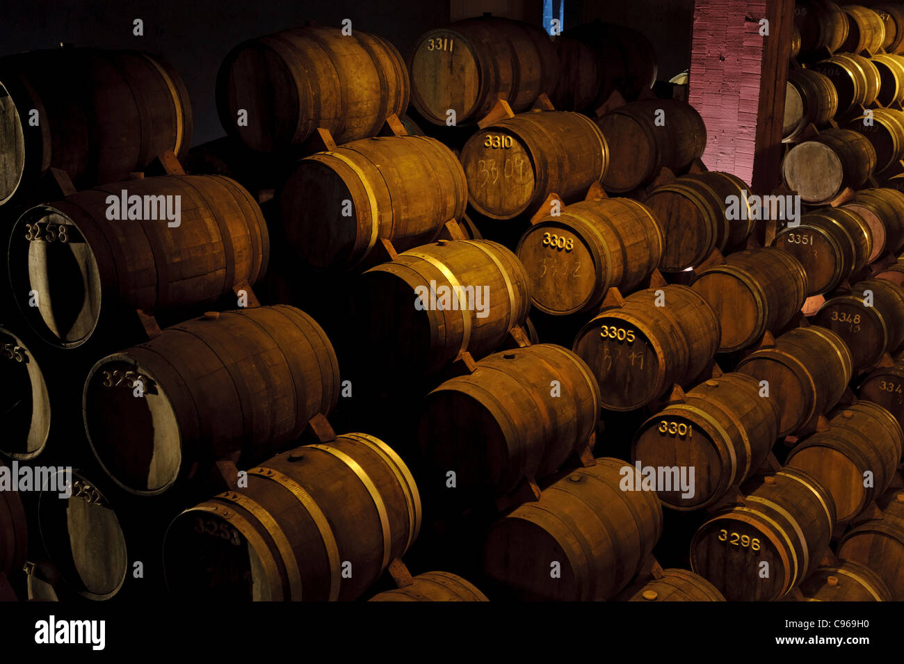 Wine aging in barrels at the Caves Aliança cellar, Sangalhos, Portugal