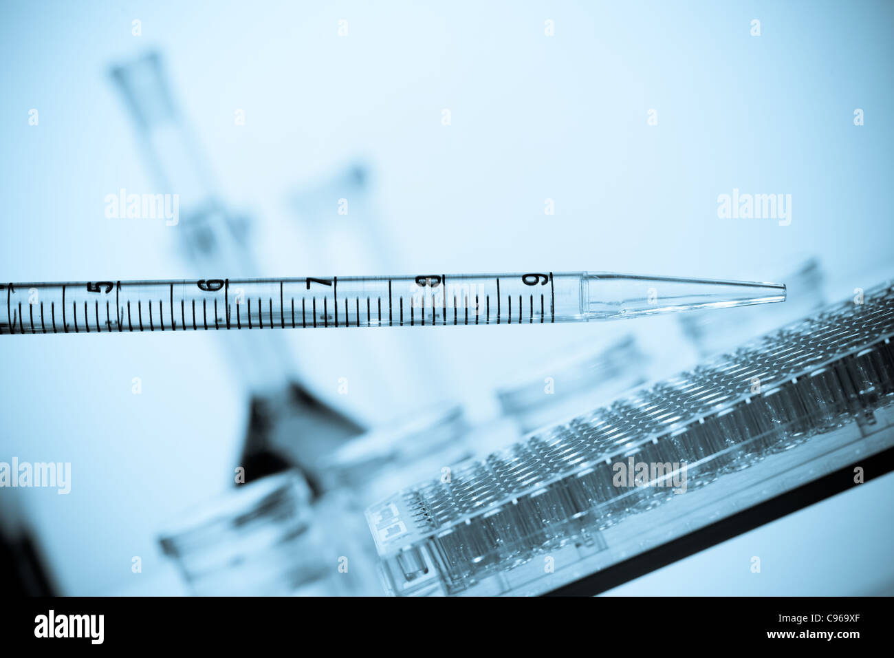 Pipette adding fluid to one of petri plate Stock Photo