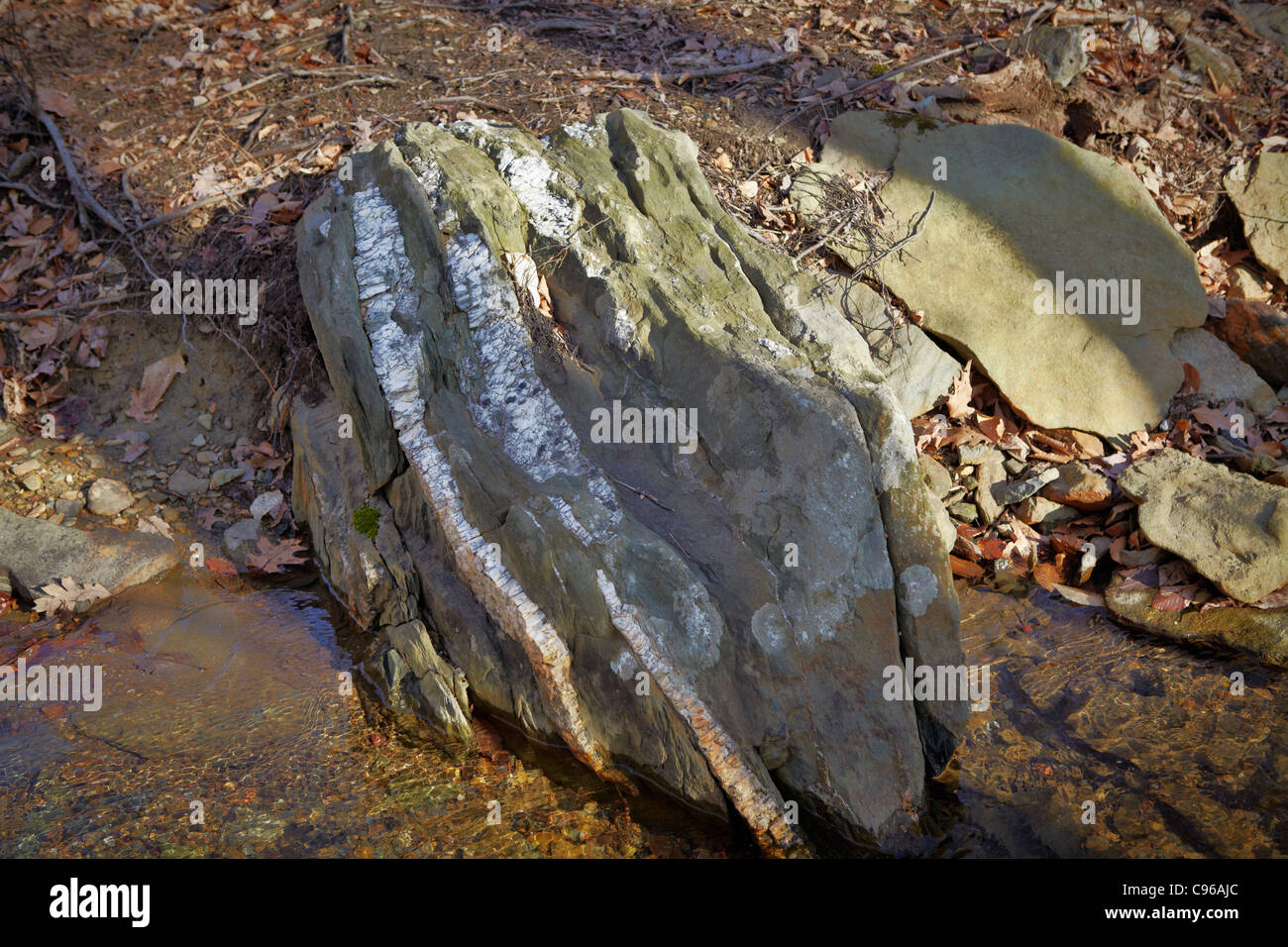 Veins of white quartzite running through a stone of metabasalt, Catoctin Mountain Park. Stock Photo