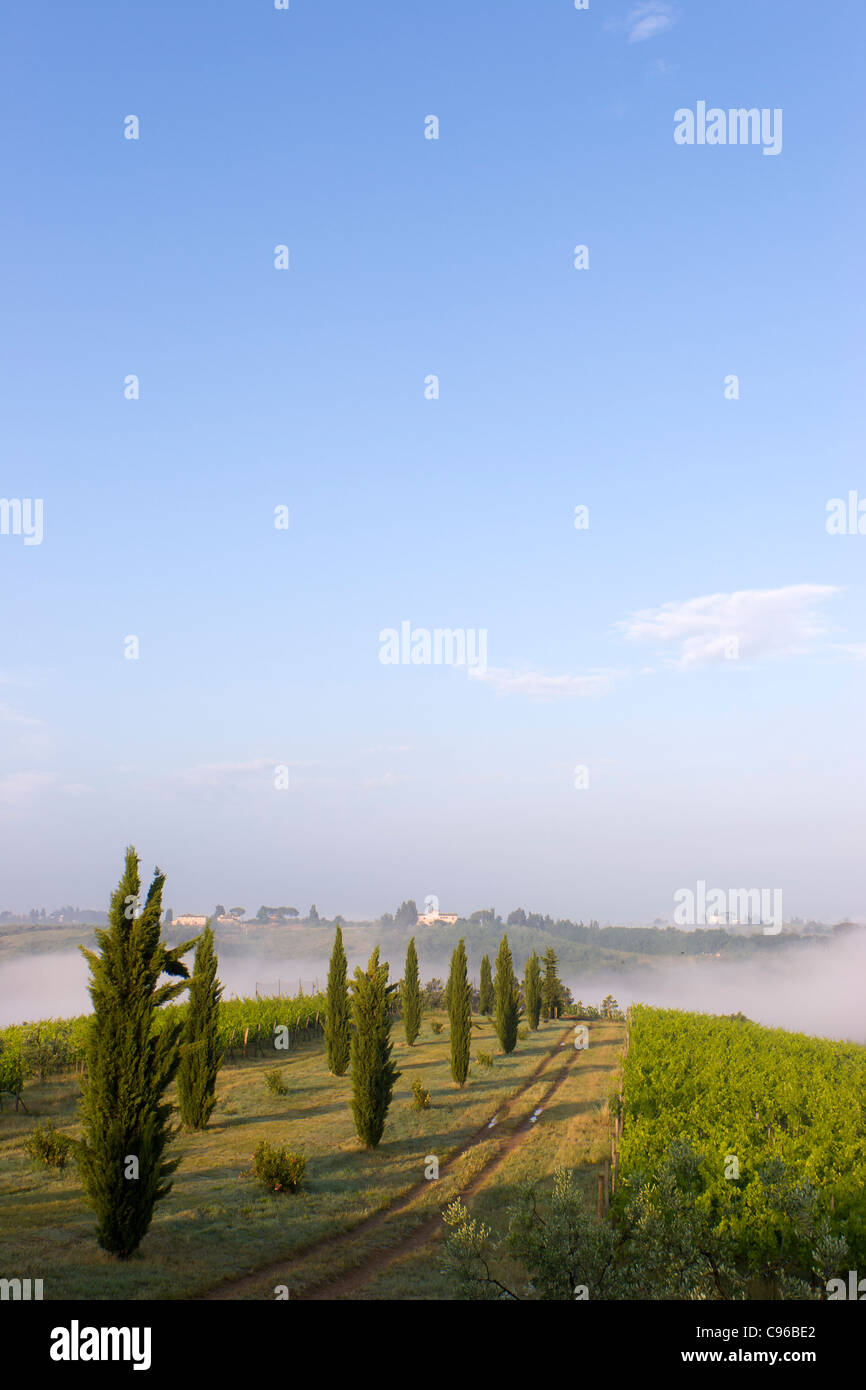 Sunrise over Tuscan landscape Stock Photo