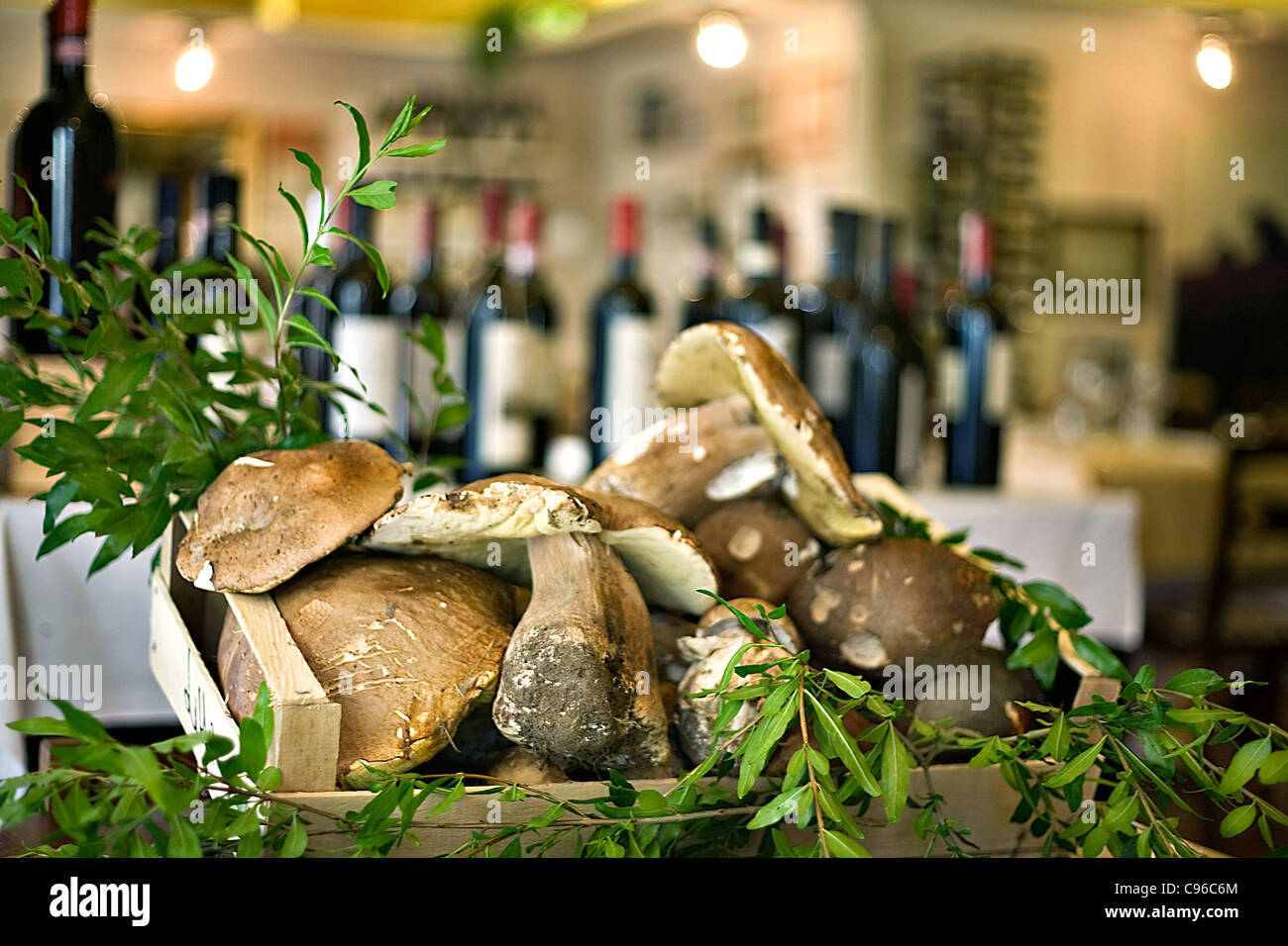group of porcini mushrooms Stock Photo Alamy