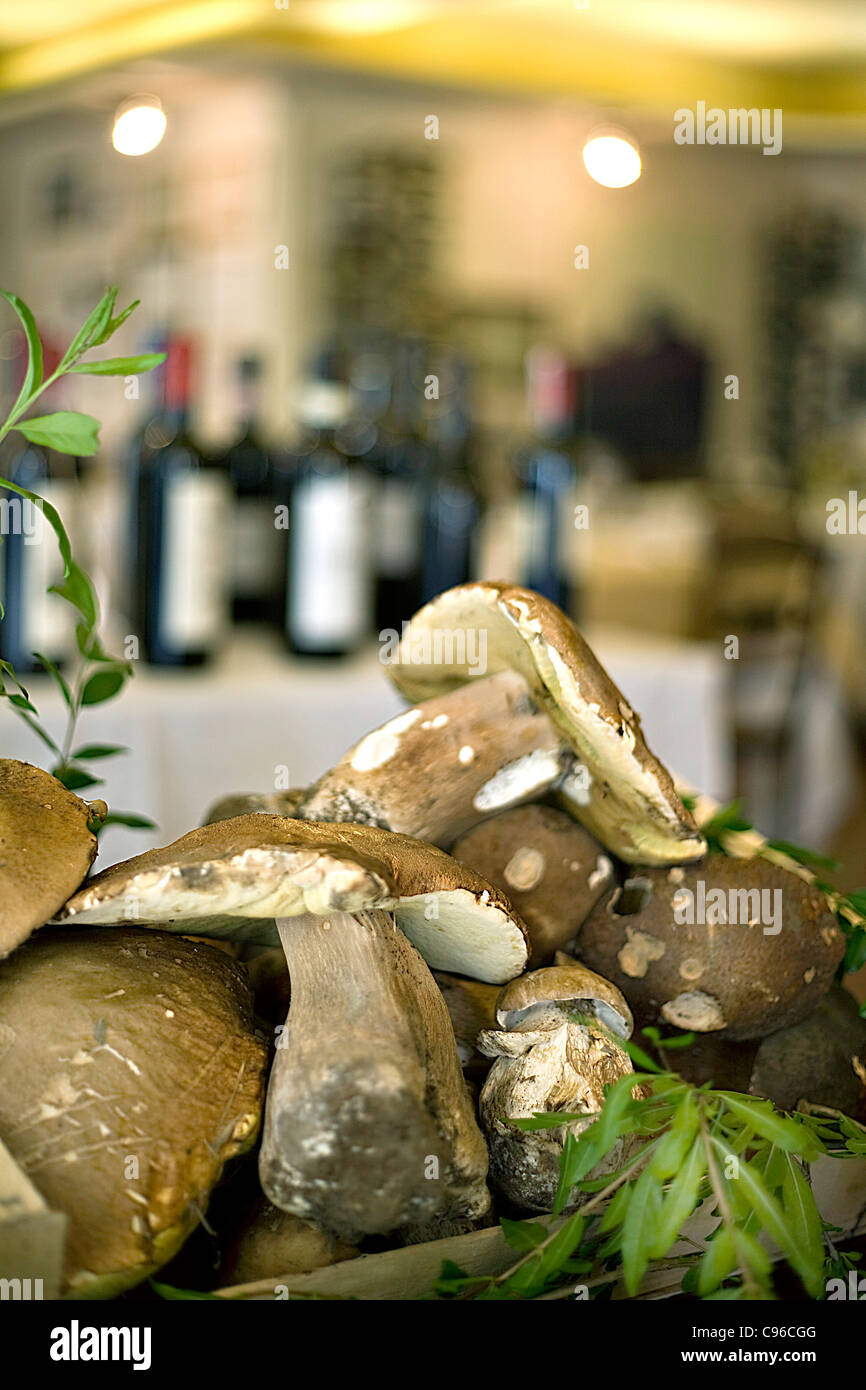 group of porcini mushrooms Stock Photo Alamy
