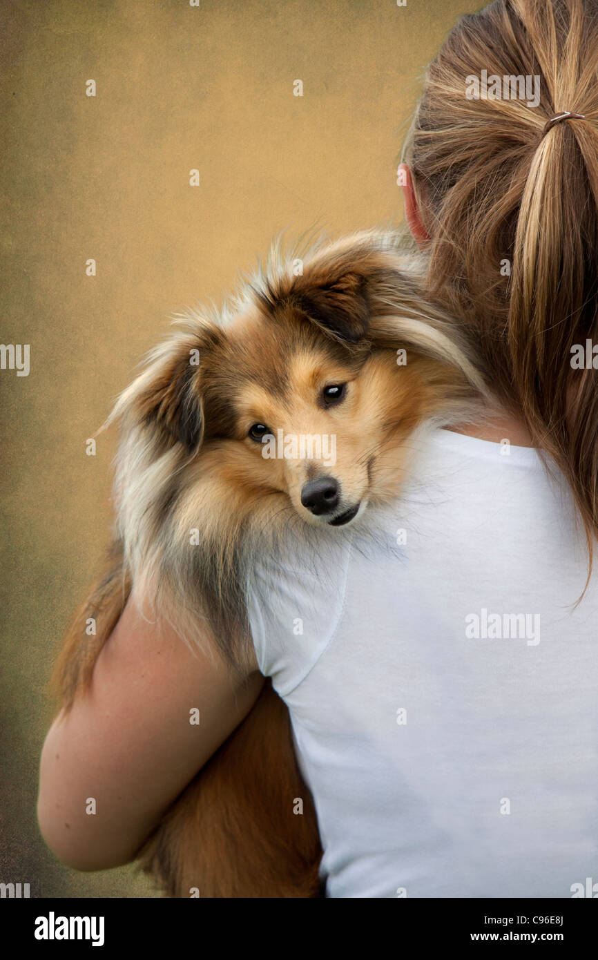 girl with dog, shetland sheepdog, Stock Photo