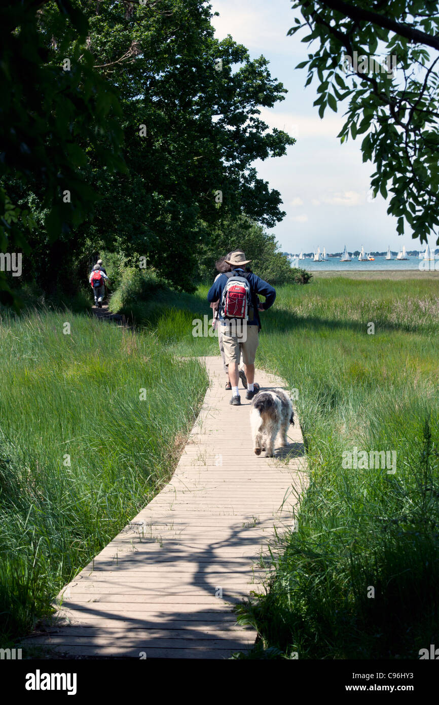 Walkers and dog on the Lipchis Way footpath, beside Chichester Harbour, between Itchenor and West Wittering, West Sussex Stock Photo