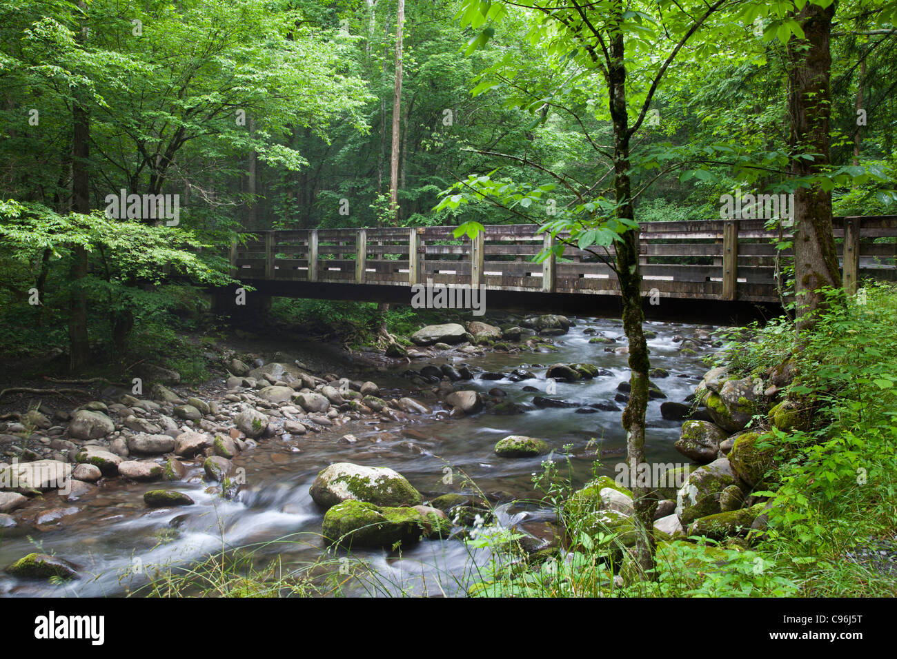 Bridge over the Middle Prong of the Little Pigeon River in the Great Smoky Mountains National Park, on the Tennessee side of the park. Stock Photo