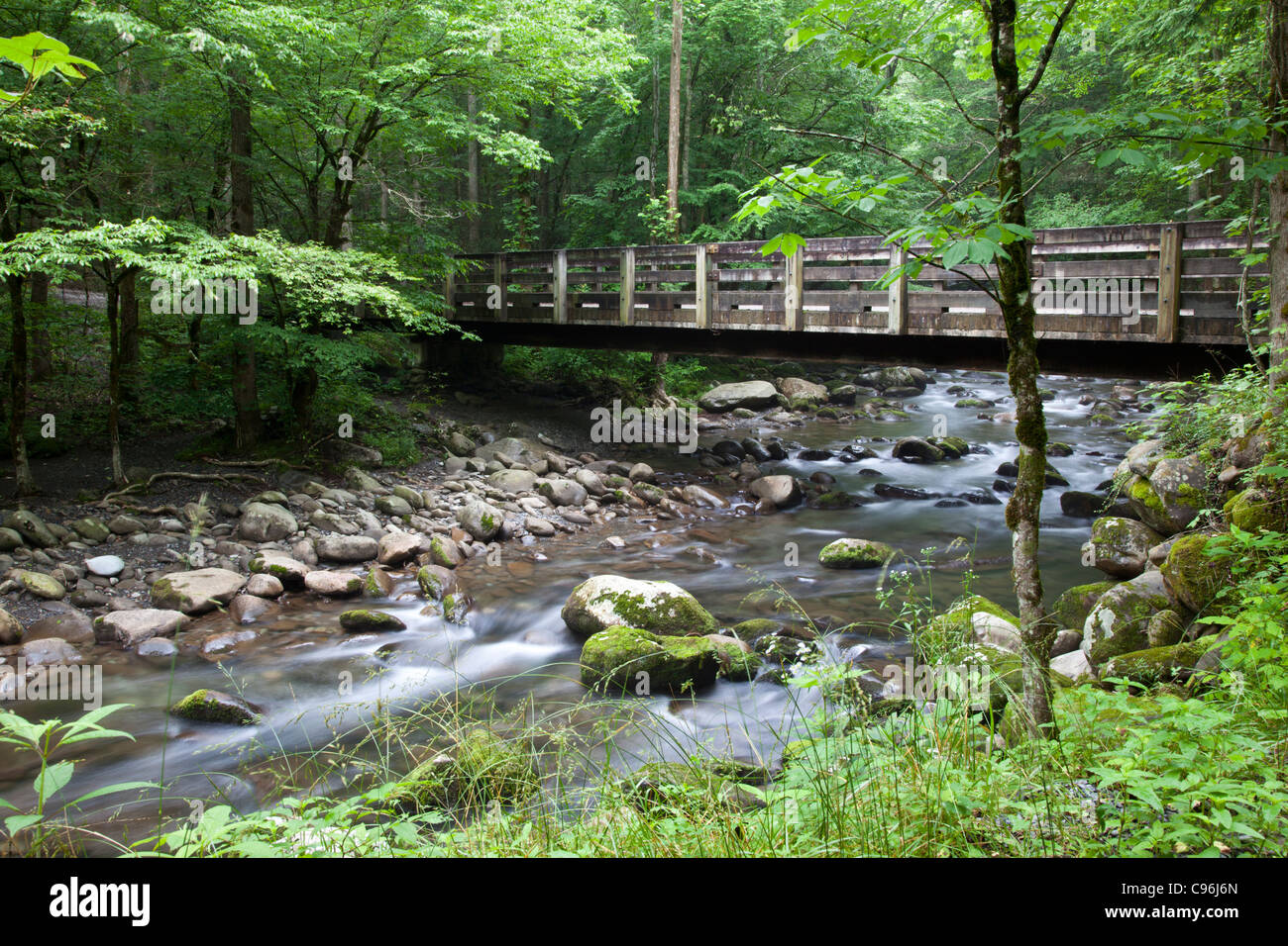 Bridge over the Middle Prong of the Little Pigeon River in the Great Smoky Mountains National Park, on the Tennessee side of the park. Stock Photo