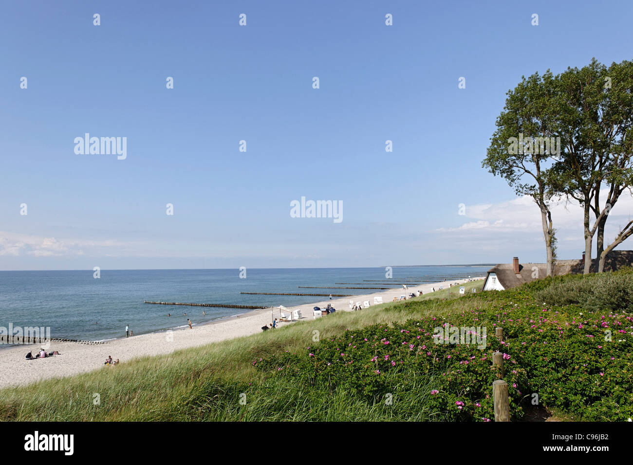 Thatched-roof House On The Beach Of Ahrenshoop, Fischland-Darss-Zingst ...