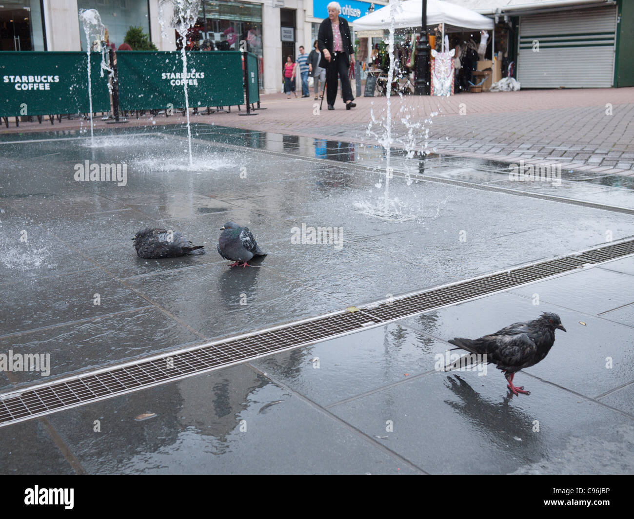 Birds take a shower in the plaza fountain in Kingston, London, Market