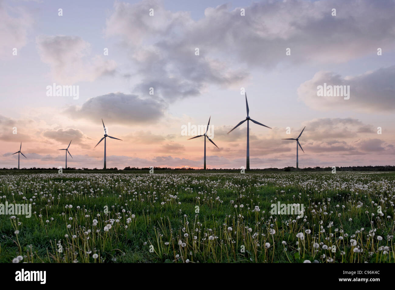 Wind Turbines, Silhouette of windturbines in sunset, wind power plant, fields, wind farm Stock Photo