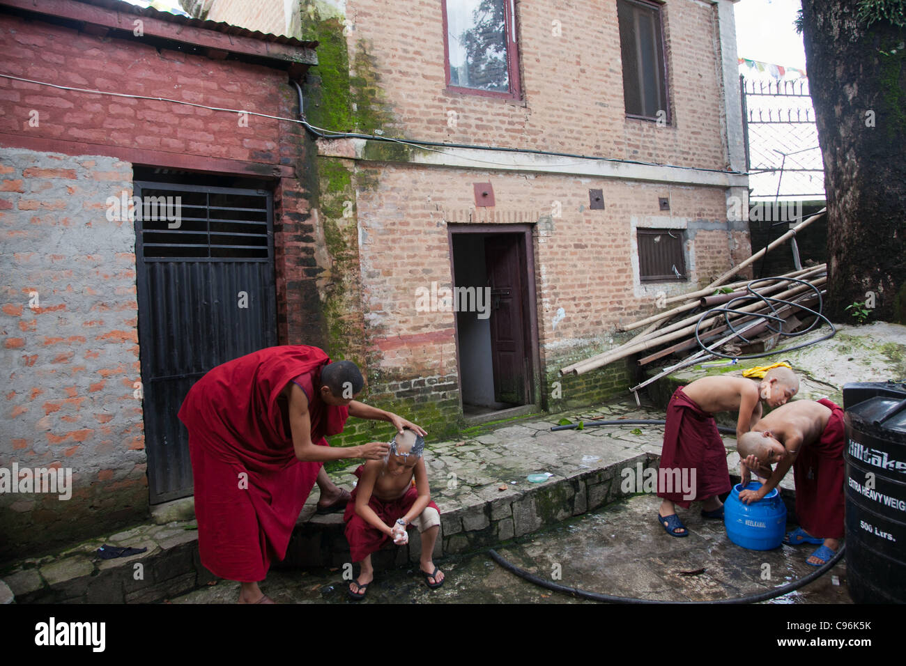 Young Buddhist monks having their heads shaved Stock Photo Alamy